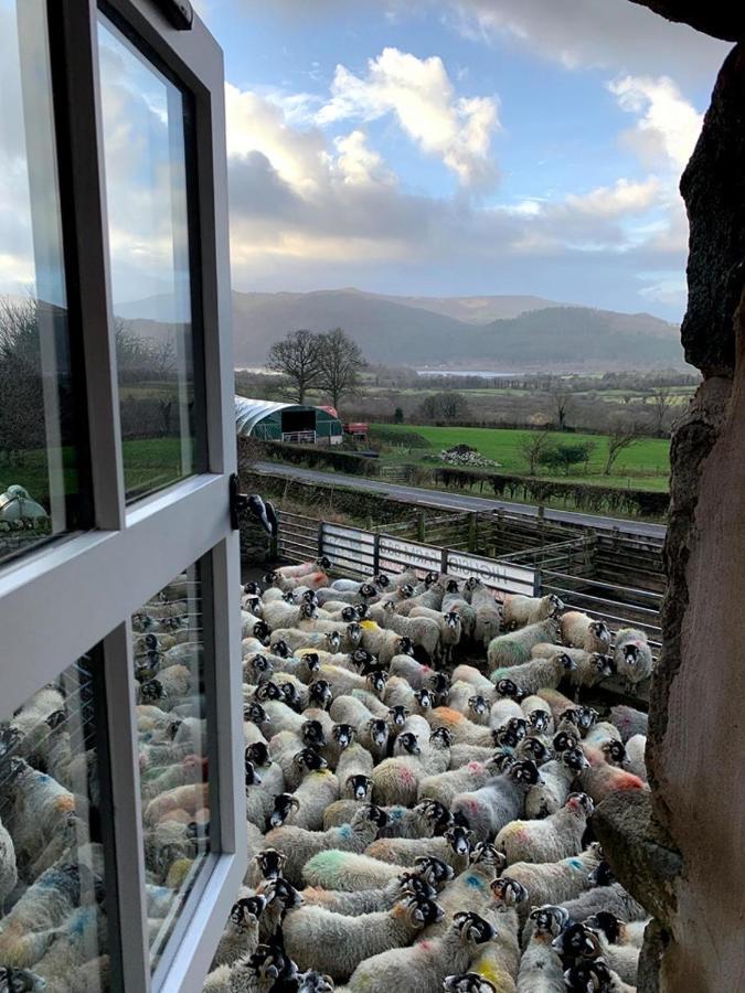 Highside Farm Bed and Breakfast Bassenthwaite Exterior foto