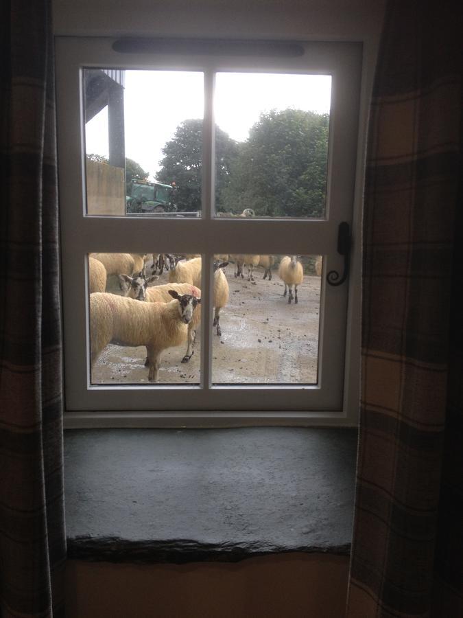 Highside Farm Bed and Breakfast Bassenthwaite Exterior foto